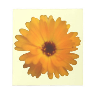 Orange Marigold Anteckningsblock
