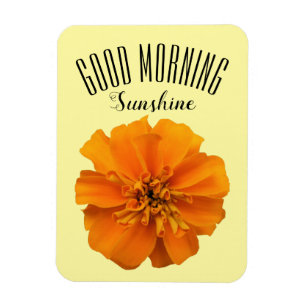 Orange Marigold Bra Morgon Sunshine Magnet