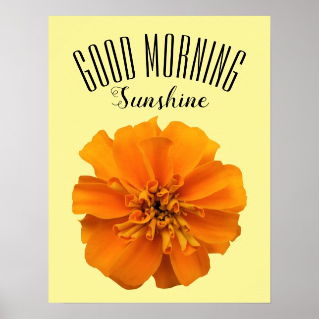 Orange Marigold Bra Morgon Sunshine Poster (Framsidan)
