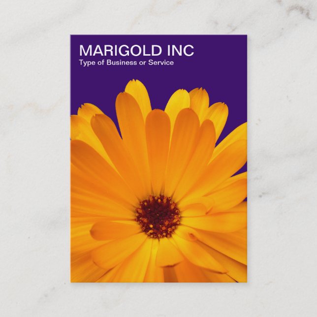 Orange Marigold - Deep Lila Visitkort (Framsida)