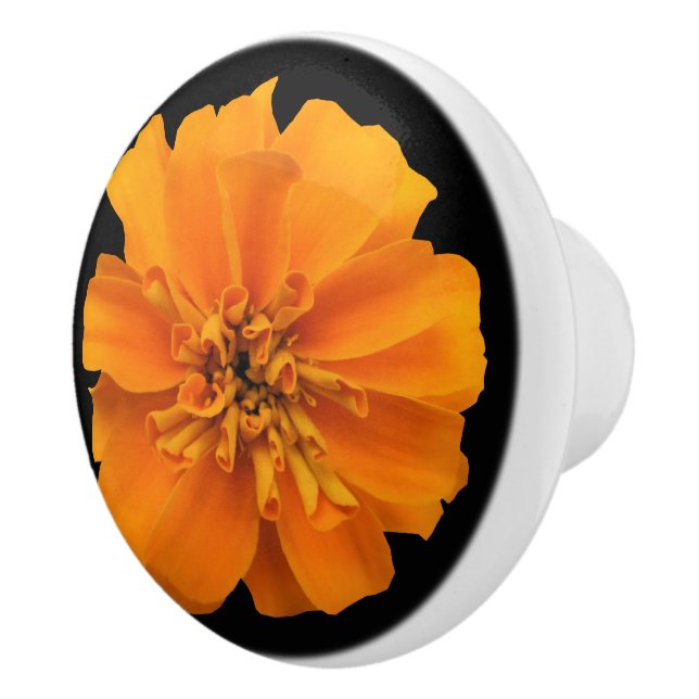 Orange Marigold Flower on Black Knopp (Höger)