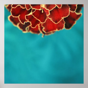 Orange Marigold Flower Petal Macro Abstrakt Poster