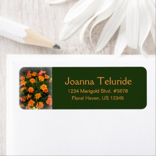Orange Marigold Flowers Blooming in Summer Garden Returadress Etikett
