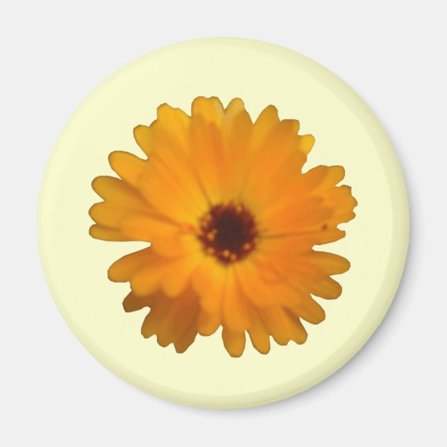 Orange Marigold Magnet (Framsidan)
