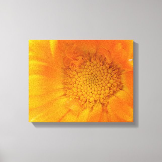 Orange Marigold Makro Canvastryck (Framsida)