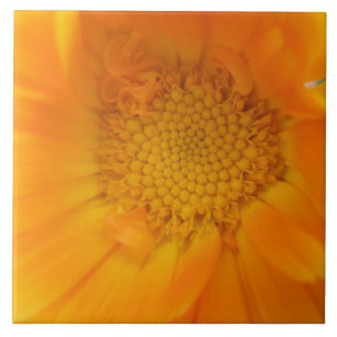 Orange Marigold Makro Tile Kakelplatta