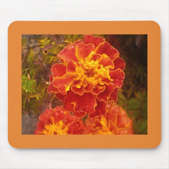 Orange Marigold Musmatta (Framsidan)