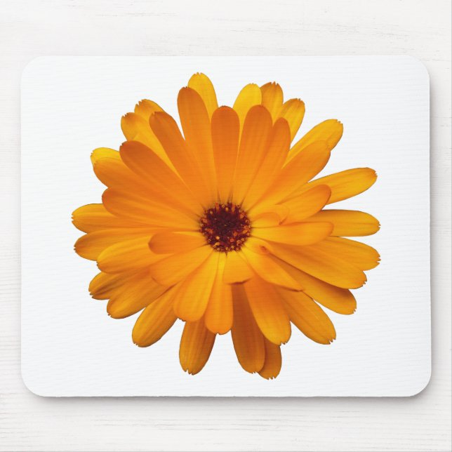Orange Marigold Musmatta (Framsidan)