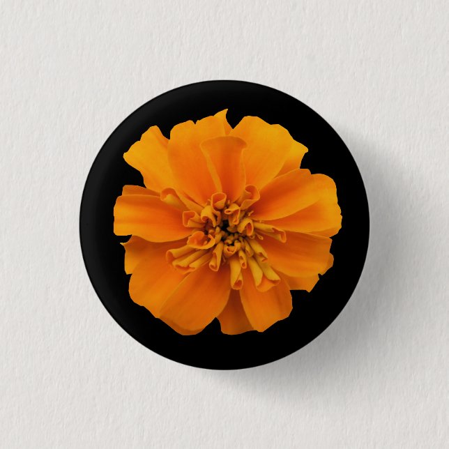 Orange Marigold on Black Knapp (Framsida)