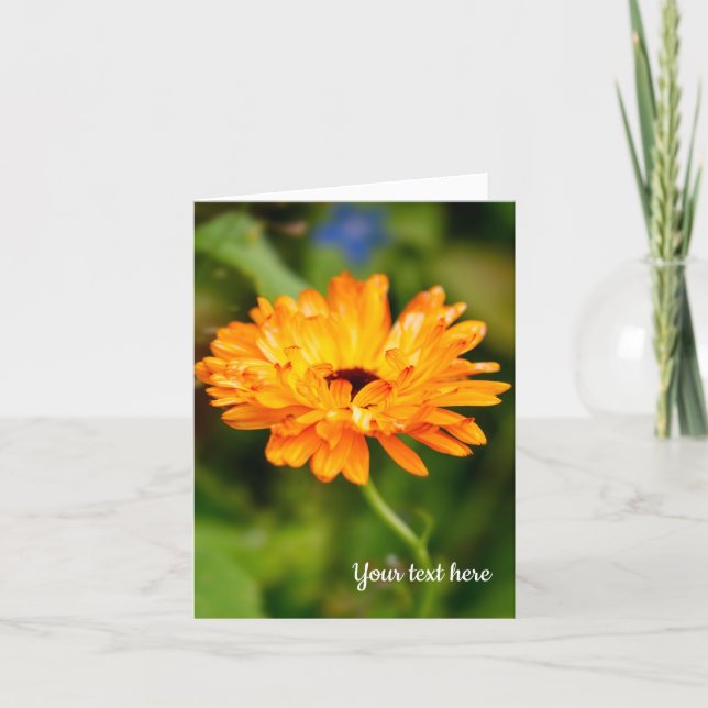 Orange Marigold Välkomstkort Tack Kort (Framsida)