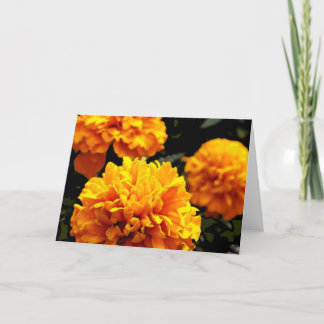 "Orange Marigolds-kort" Kort