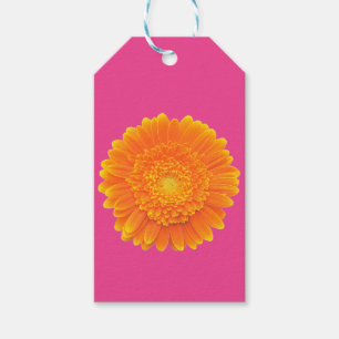 orange märkre för gåva för gerberadaisyblomma presentetikett