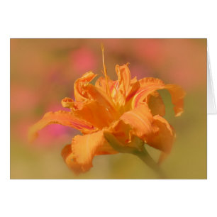 Orange Marmalade - Daylily Hälsningskort