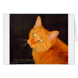 Orange-marmelad Hälsningskort