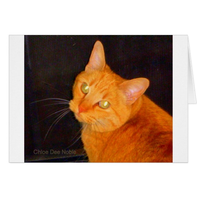 Orange-marmelad Hälsningskort (Framsidan Horizontal)