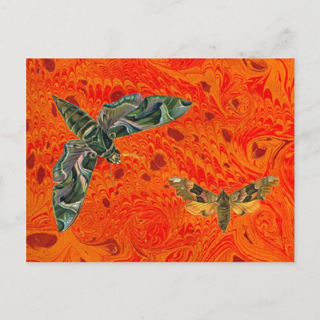 Orange - marmorerat vykort (Framsida)