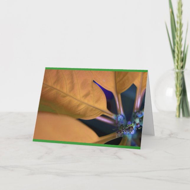 Orange med spansk text helgkort (Framsida)