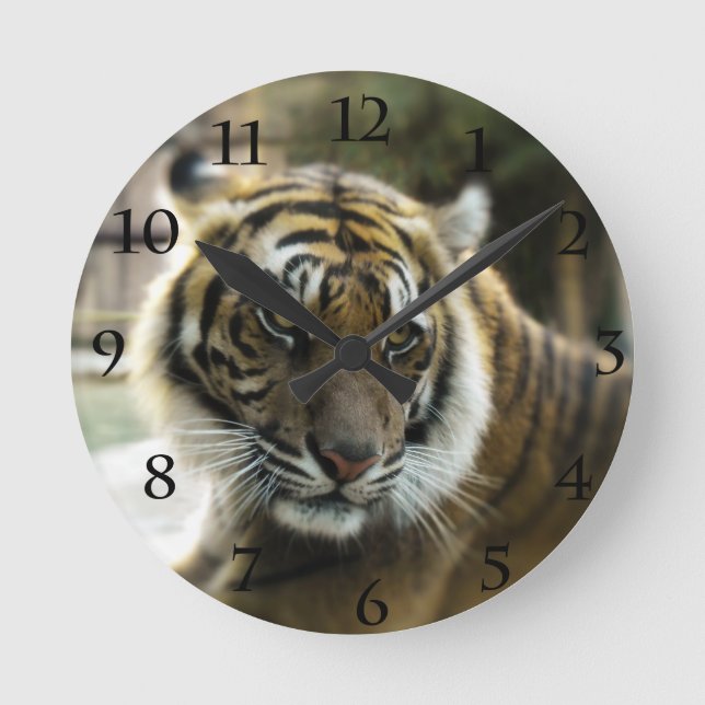 Orange med svartfärgat rand Bengal tiger-foto Rund Klocka (Framsida)