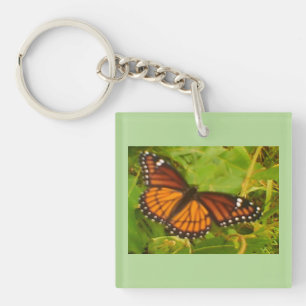 Orange Monarch