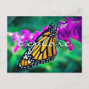 Orange Monarch Butterfly Photo Explore-Snyggt Vykort