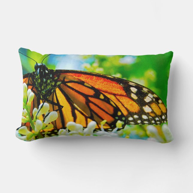 Orange Monarch Butterfly White Flower Photo Bold Lumbarkudde (Framsida)
