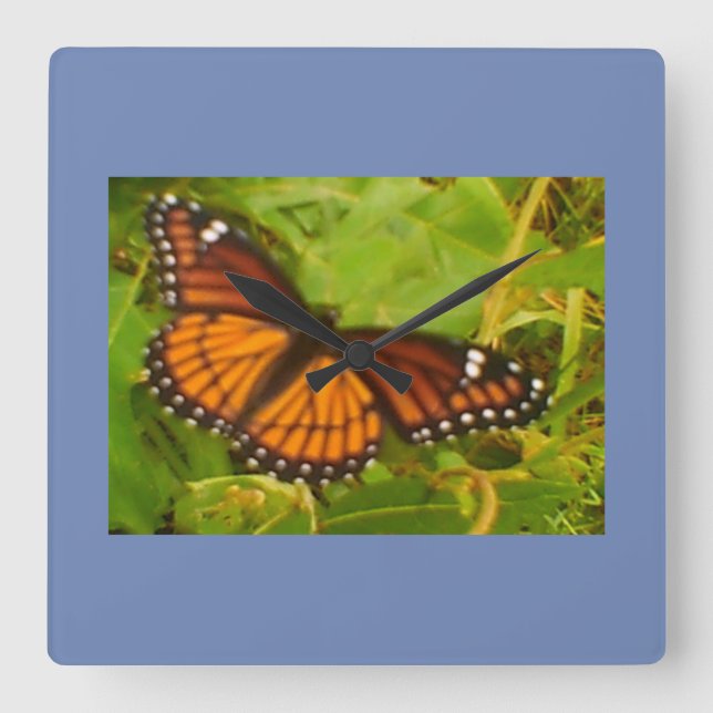 Orange Monarch Fyrkantig Klocka (Framsida)