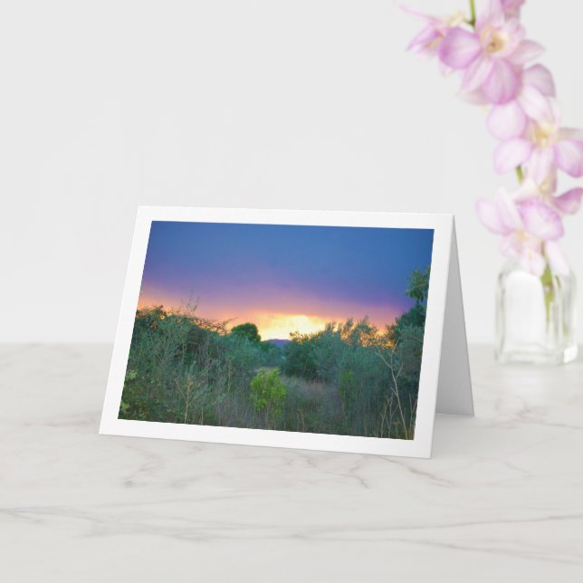 Orange Mountain Sky Kort (Orkide)