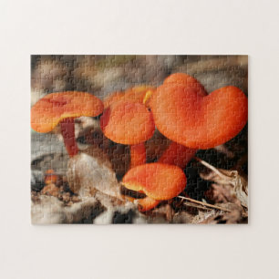 Orange Mushroom Family Natature Pussel