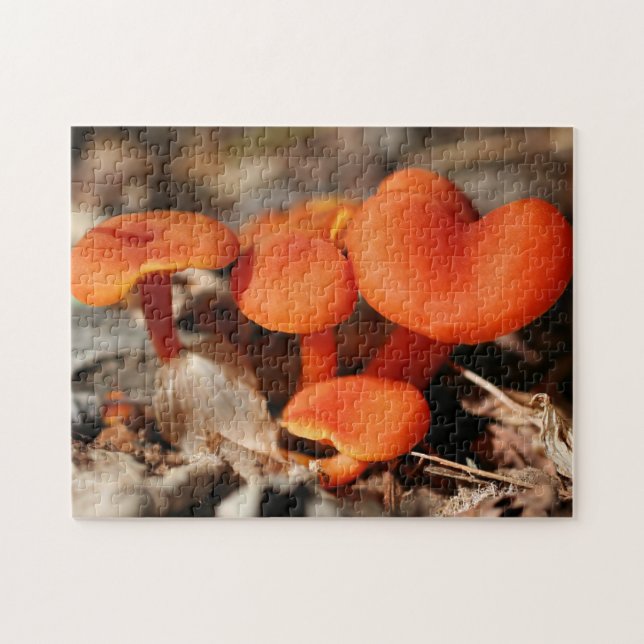 Orange Mushroom Family Natature   Pussel (Horisontell)