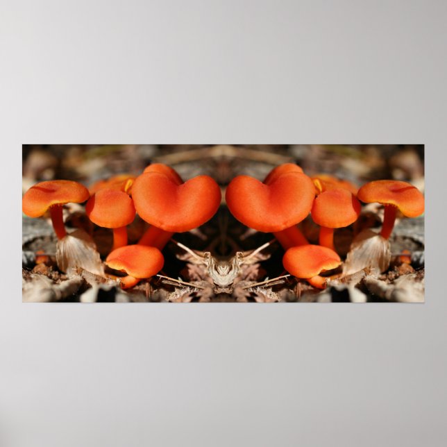Orange Mushroom Family Spegel Abstrakt Poster (Framsidan)