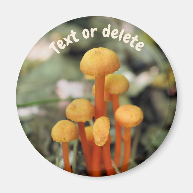 Orange Mushrooms Nature Personalized Magnet (Framsidan)