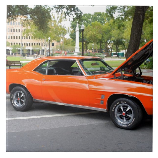 Orange muskel kakelplatta (Framsidan)