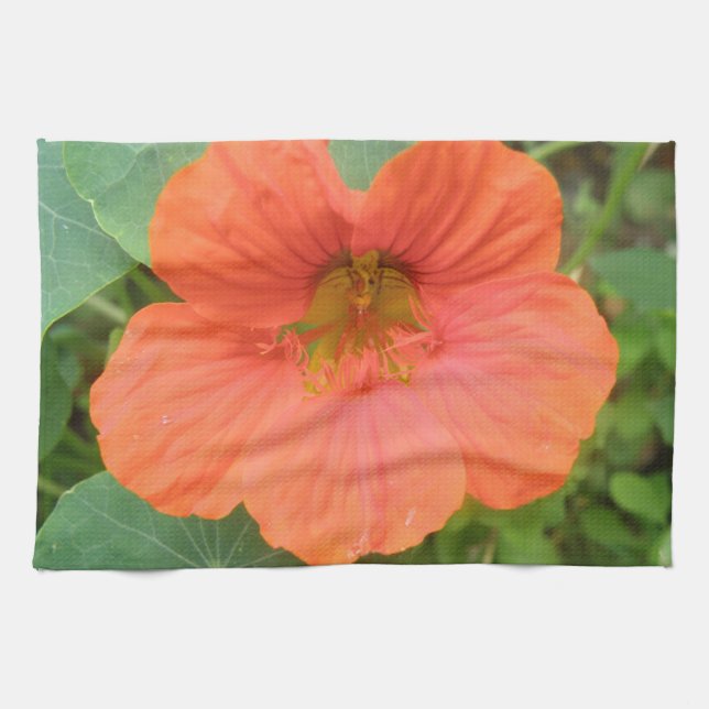 Orange Nasturtium Flower Kitchen Towel Kökshandduk (Horisontell)