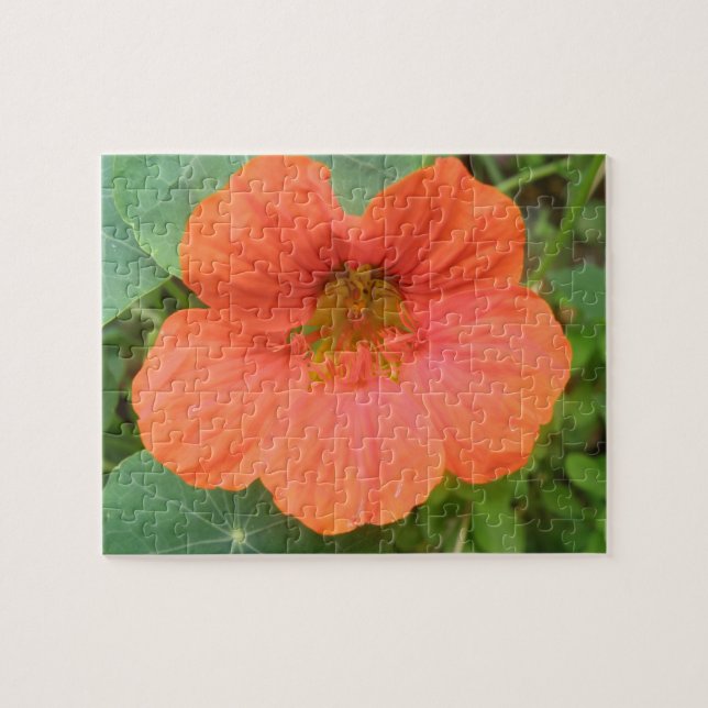Orange Nasturtium Flower Puzzle Pussel (Horisontell)