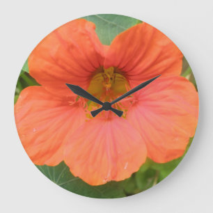 Orange Nasturtium Flower Wall Clock Stor Klocka