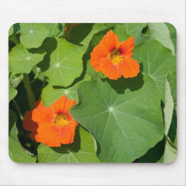Orange Nasturtium Mouse Pad Musmatta