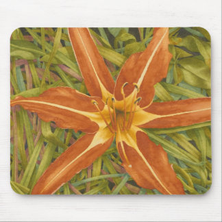 Orange Novamousepad Musmatta