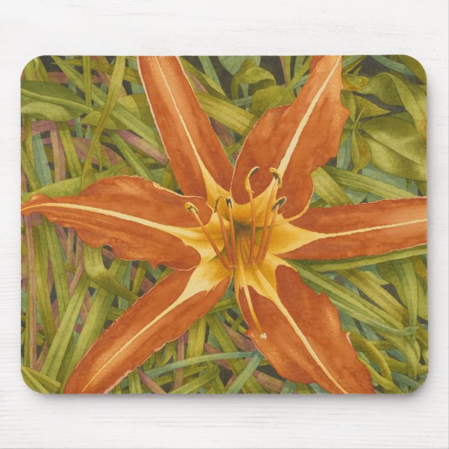 Orange Novamousepad Musmatta (Framsidan)