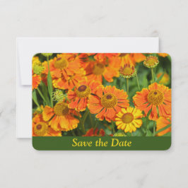 Orange Nysört Blomsterträdgård Överraskningsfödels Spara Datumet