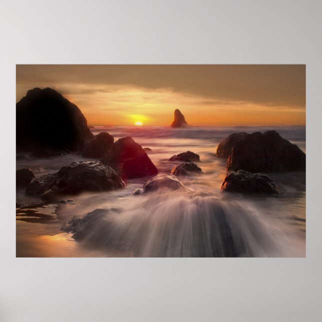 Orange Oceanen poster (Framsidan)