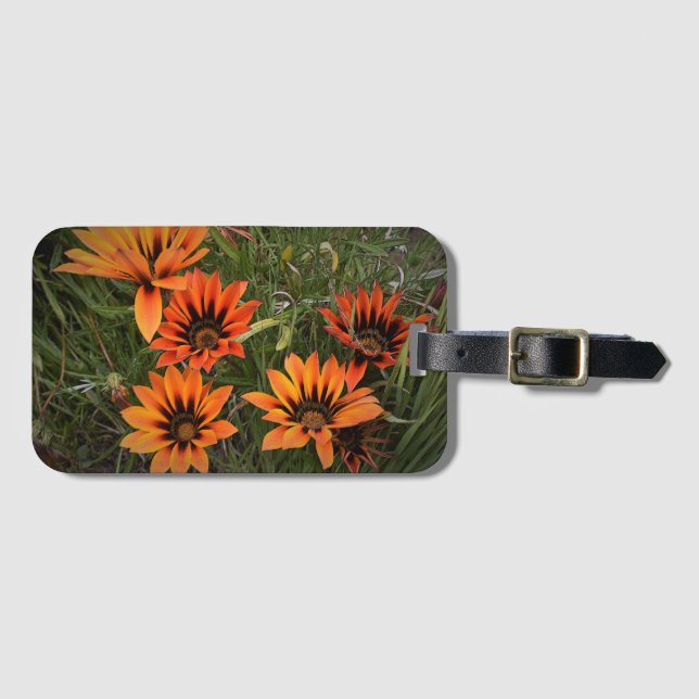 Orange och Black Gazanias Luggage Tag Bagagebricka (Framsida horisontal)