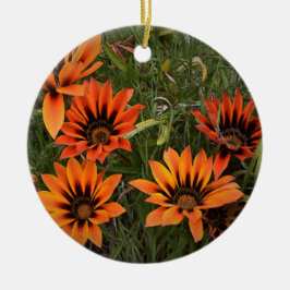 Orange och Black Gazanias Round Ornament