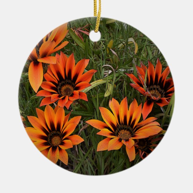 Orange och Black Gazanias Round Ornament (Framsidan)