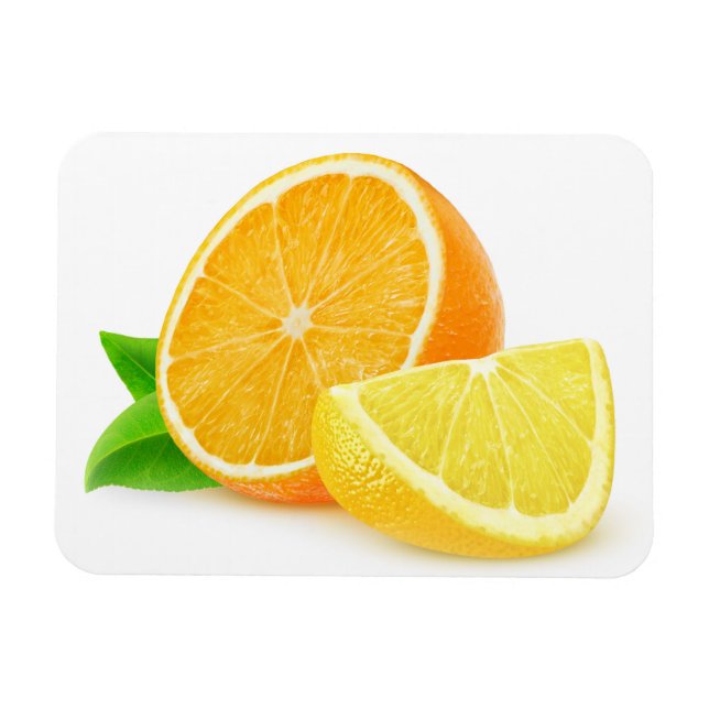 Orange och citron delara magnet (Horisontell)