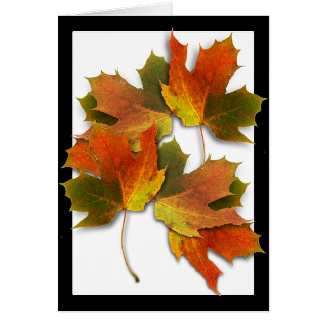 Orange och Golden Höst löv Hälsningskort (Framsidan)