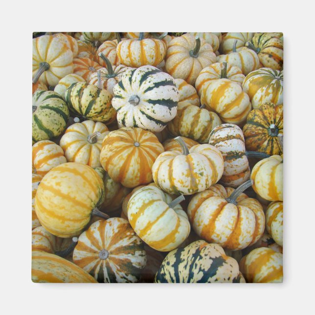 Orange och Grönt Höstskördar Magnet (Framsidan)