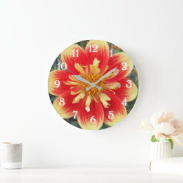 Orange och gul Collarette Dahlia Blomma Stor Klocka