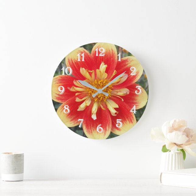 Orange och gul Collarette Dahlia Blomma Stor Klocka (Hem)
