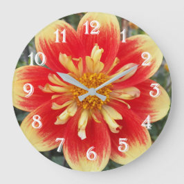 Orange och gul Collarette Dahlia Blomma Stor Klocka