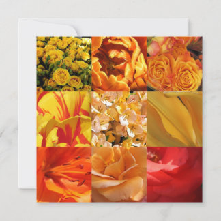 Orange och gula blommor